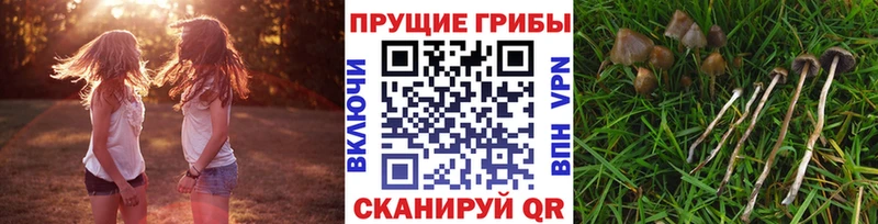 Купить  Разумное  Галлюциногенные грибы ЛСД 