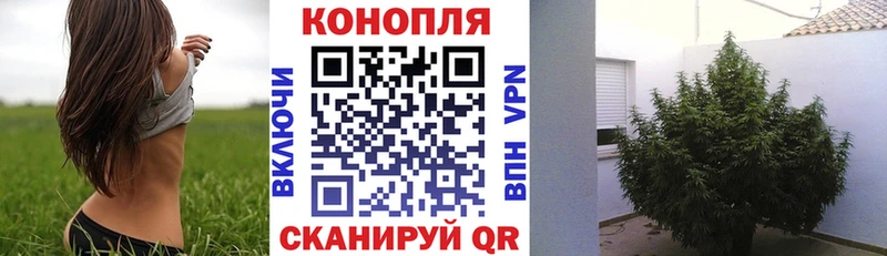 Каннабис тримм  Купить закладки  Разумное 